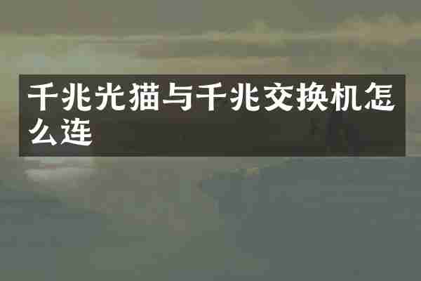千兆光猫与千兆交换机怎么连