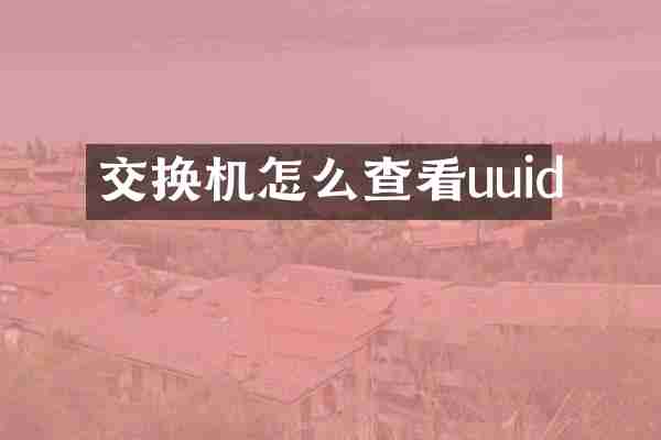 交换机怎么查看uuid