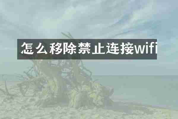 怎么移除禁止连接wifi