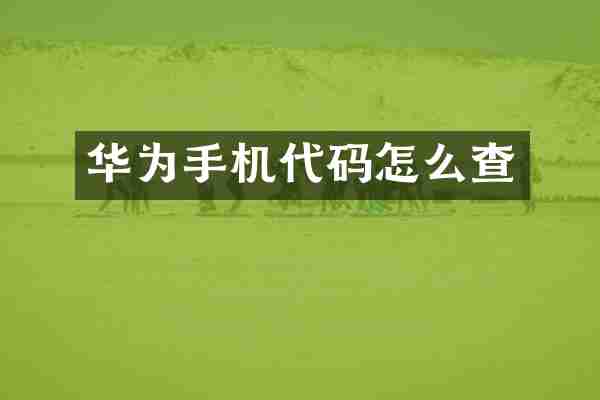 华为手机代码怎么查