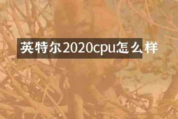 英特尔2020cpu怎么样