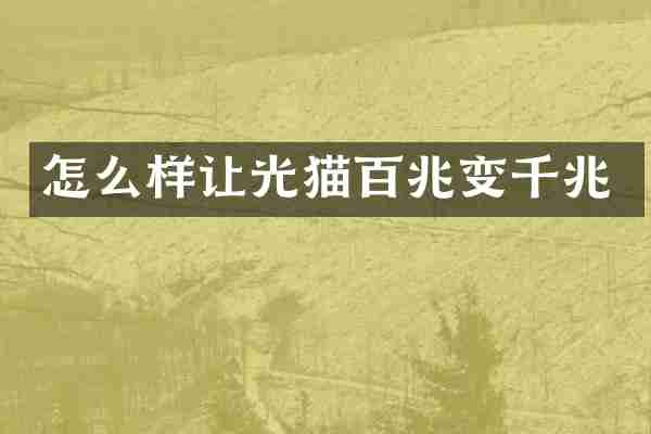 怎么样让光猫百兆变千兆