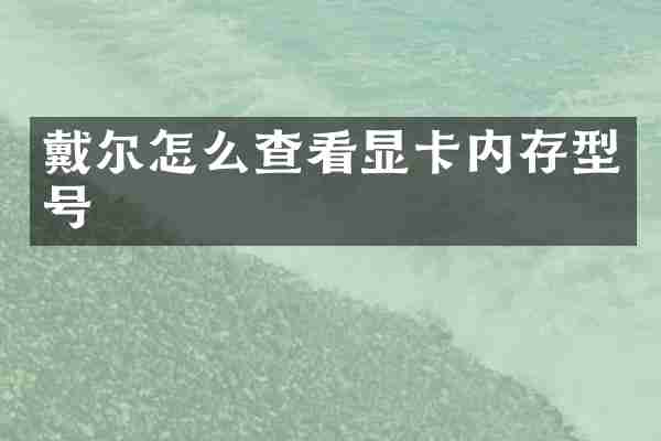 戴尔怎么查看显卡内存型号