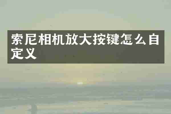 相机放大按键怎么自定义