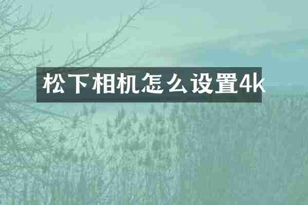 相机怎么设置4k