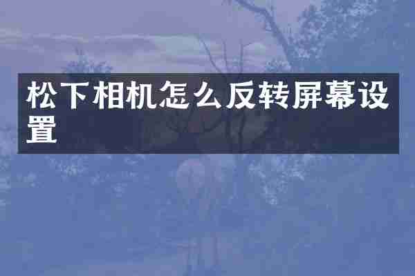 松下相机怎么反转屏幕设置