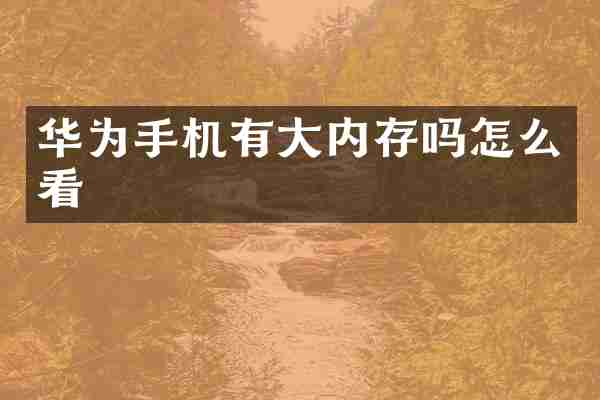华为手机有大内存吗怎么看