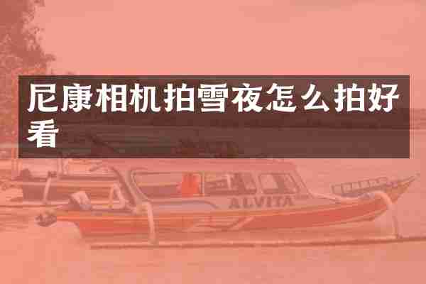 尼康相机拍雪夜怎么拍好看