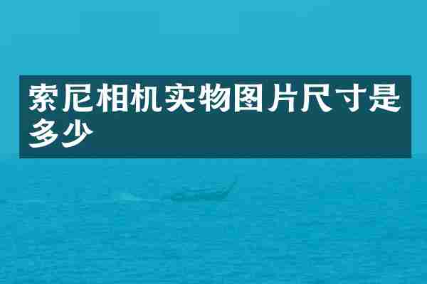 索尼相机实物图片尺寸是多少