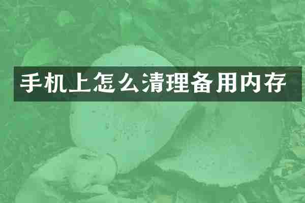 手机上怎么清理备用内存