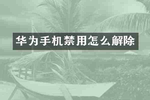 华为手机禁用怎么解除