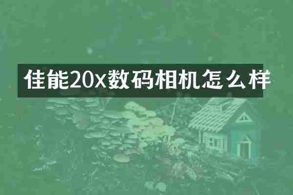 佳能20x数码相机怎么样