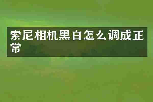索尼相机黑白怎么调成正常
