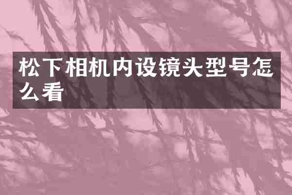 松下相机内设镜头型号怎么看