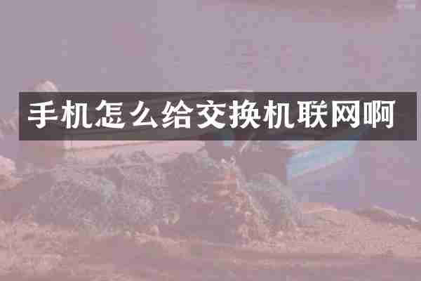 手机怎么给交换机联网啊