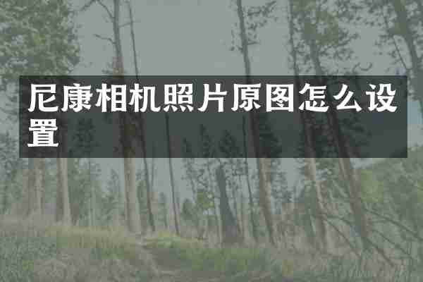 尼康相机照片原图怎么设置