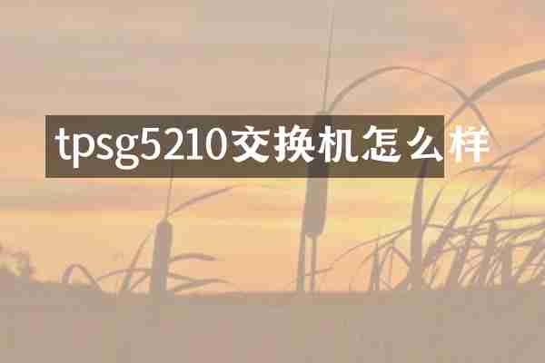tpsg5210交换机怎么样