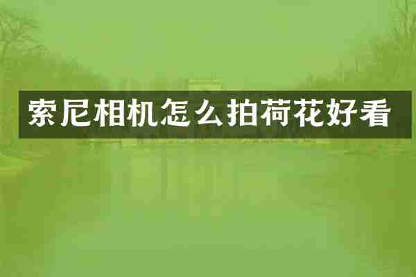 相机怎么拍荷花好看
