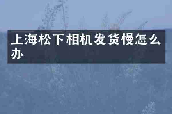 上海相机发货慢怎么办