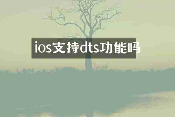 ios支持dts功能吗