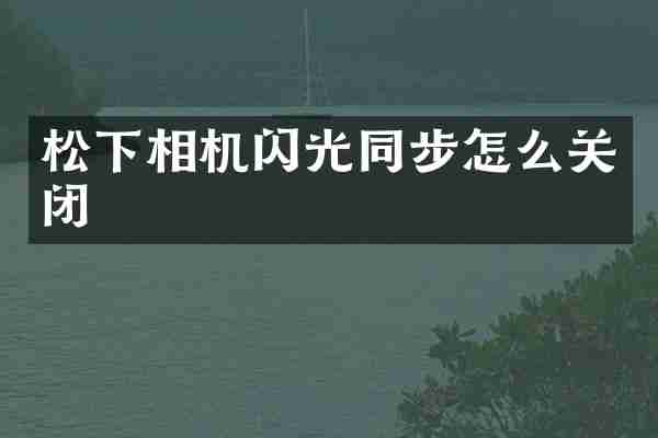 松下相机闪光同步怎么关闭