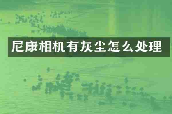 尼康相机有灰尘怎么处理