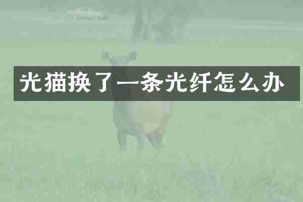 光猫换了一条光纤怎么办