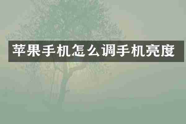 苹果手机怎么调手机亮度