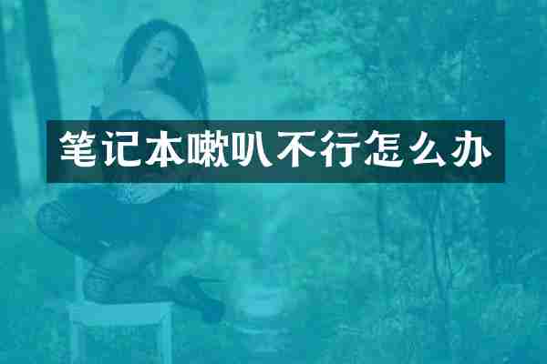 笔记本嗽叭不行怎么办