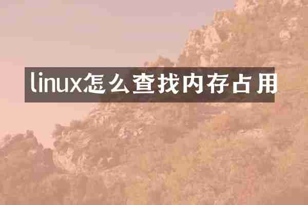 linux怎么查找内存占用