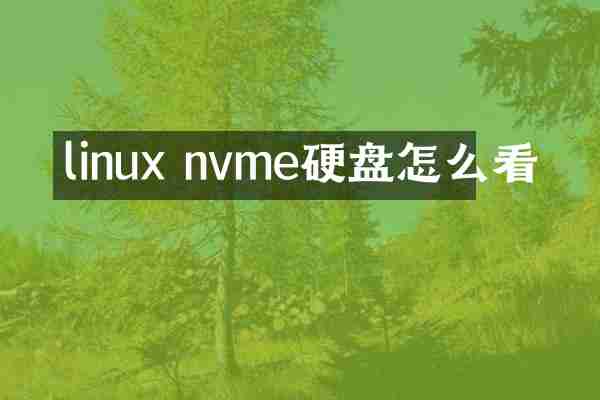 linux nvme硬盘怎么看