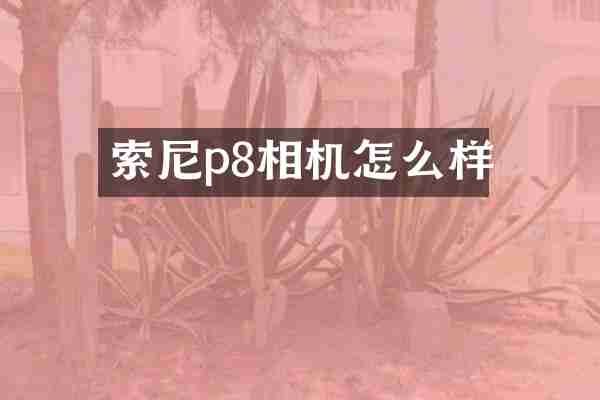 索尼p8相机怎么样