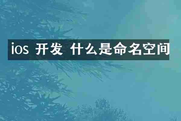 ios 开发 什么是命名空间