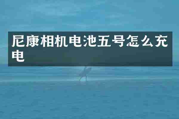 尼康相机电池五号怎么充电