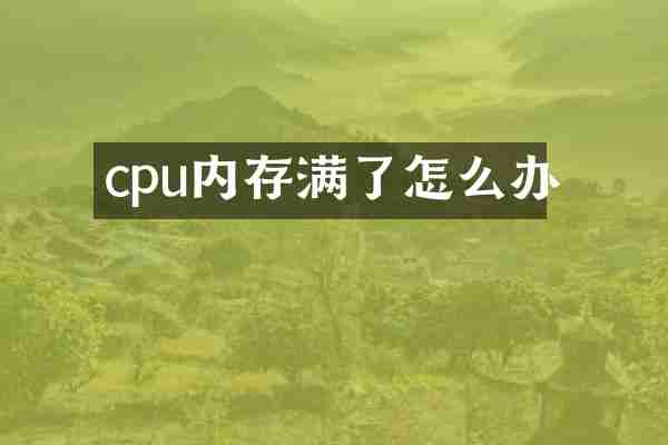 cpu内存满了怎么办