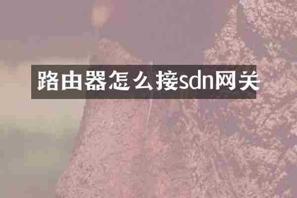 路由器怎么接sdn网关