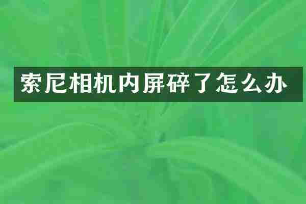 索尼相机内屏碎了怎么办