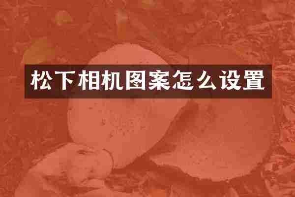 松下相机图案怎么设置