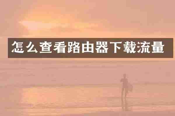 怎么查看路由器下载流量