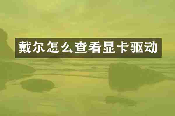 戴尔怎么查看显卡驱动