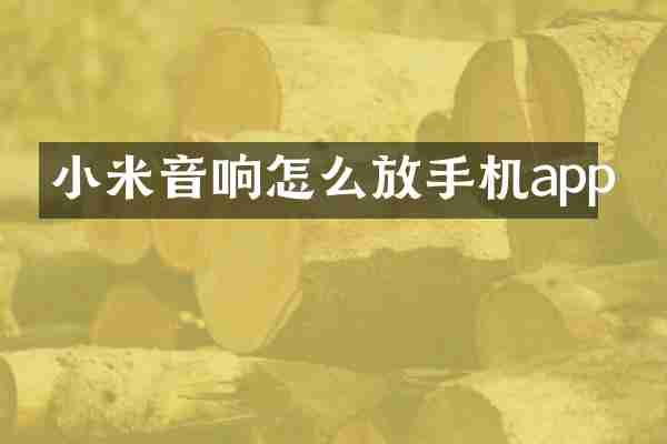 小米音响怎么放手机app