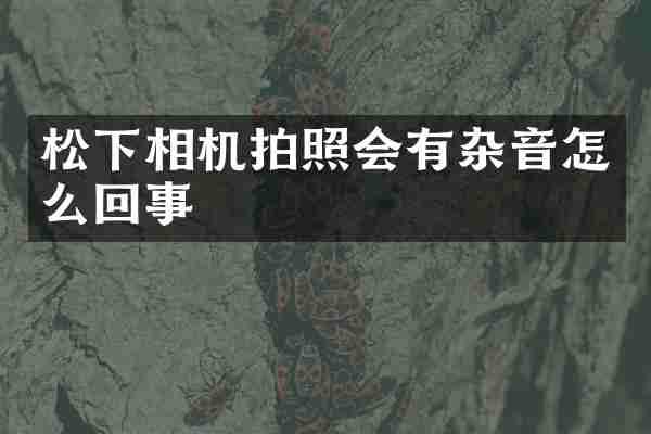 松下相机拍照会有杂音怎么回事