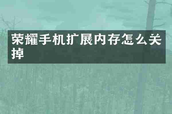 荣耀手机扩展内存怎么关掉