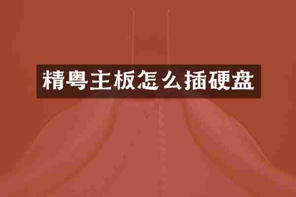 精粤主板怎么插硬盘