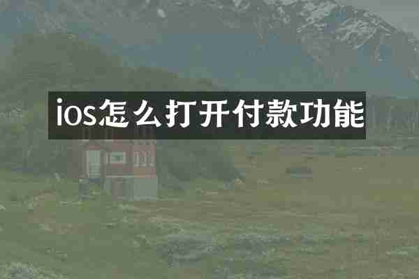 ios怎么打开付款功能