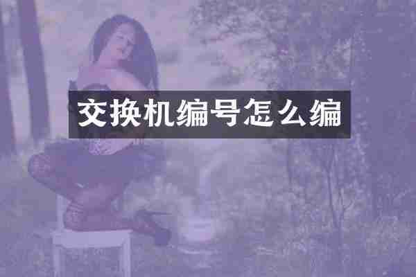 交换机编号怎么编
