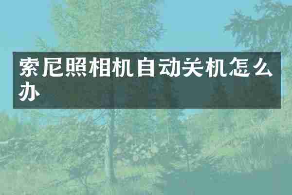 索尼照相机自动关机怎么办