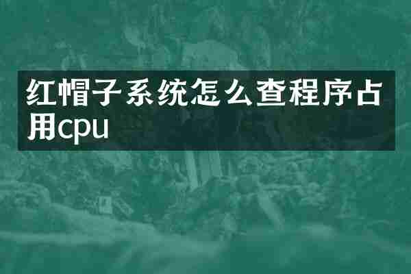 红帽子系统怎么查程序占用cpu
