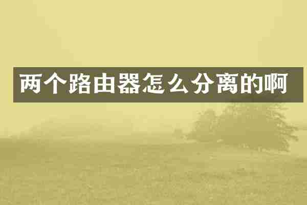 两个路由器怎么分离的啊