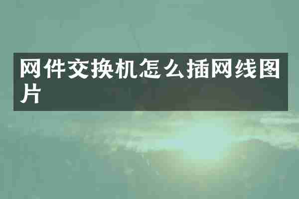 网件交换机怎么插网线图片